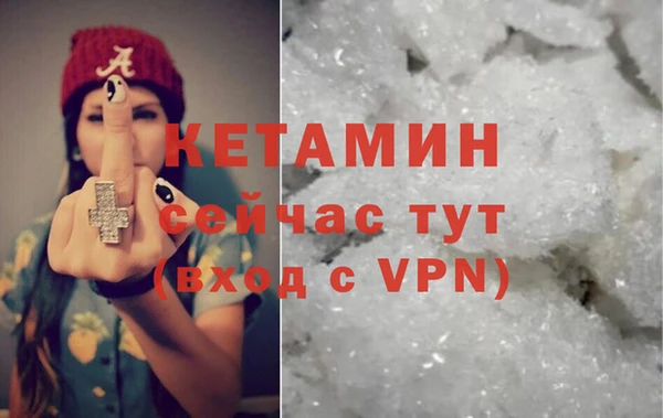 гидра Абаза