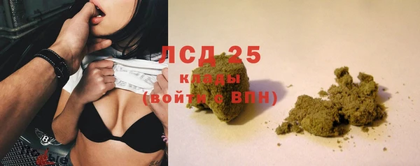 индика Алексеевка