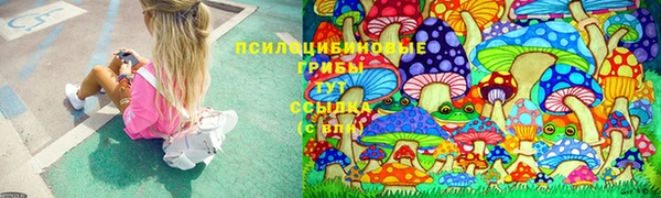 гидра Абаза