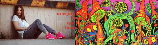 индика Алексеевка